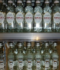 wodka warschau